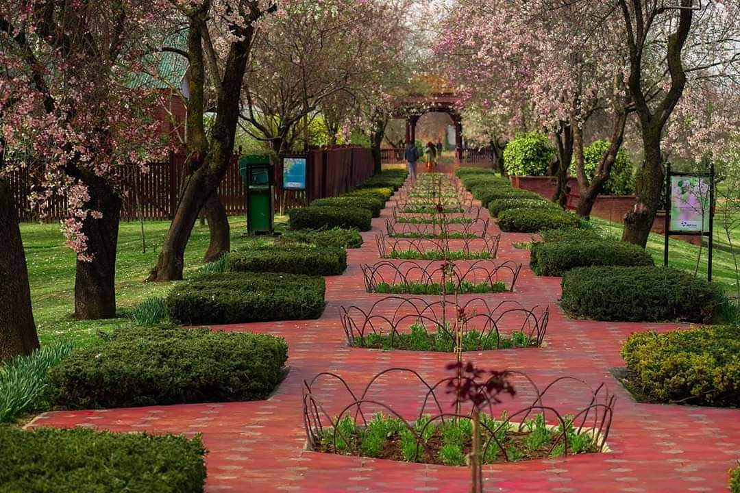 Badamwari garden